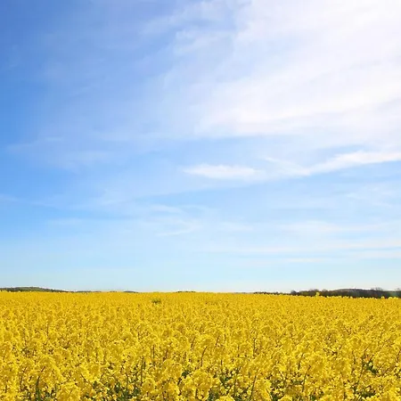 Апартаменты Haus Blick Zur See Fewo 04 - Mit Sauna- Und Schwimmbadnutzung Im Ahoi Sellin *